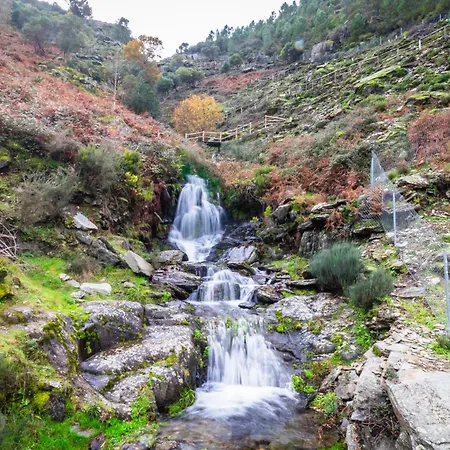 Casa Da Professora By Alzira Hébergement de vacances Seia