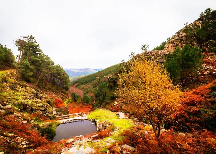 Dom wakacyjny Casa Da Professora By Alzira