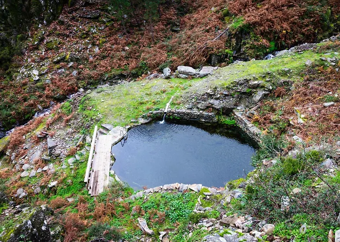 Casa Da Professora By Alzira * Seia