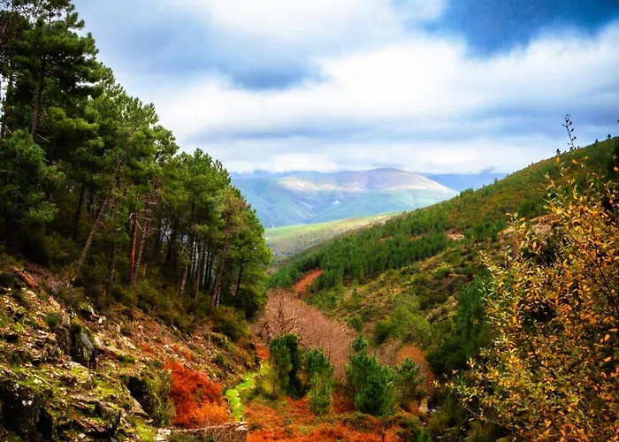 Dom wakacyjny Casa Da Professora By Alzira Seia