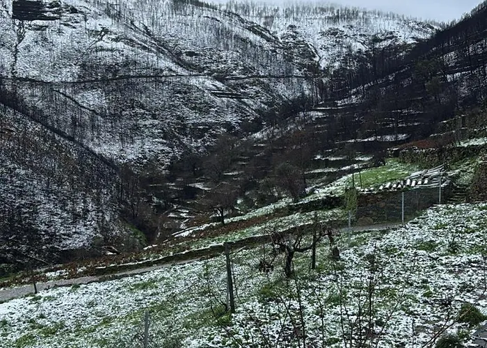 Dom wakacyjny Casa Da Professora By Alzira Seia